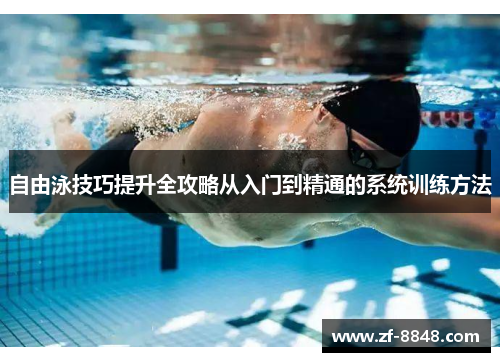 自由泳技巧提升全攻略从入门到精通的系统训练方法
