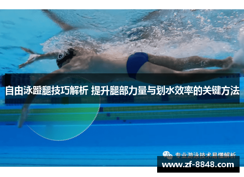 自由泳蹬腿技巧解析 提升腿部力量与划水效率的关键方法