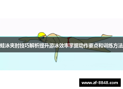 蛙泳夹肘技巧解析提升游泳效率掌握动作要点和训练方法