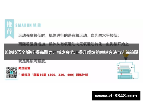 长跑技巧全解析 提高耐力、减少疲劳、提升成绩的关键方法与训练策略