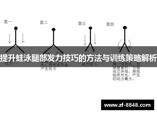 提升蛙泳腿部发力技巧的方法与训练策略解析