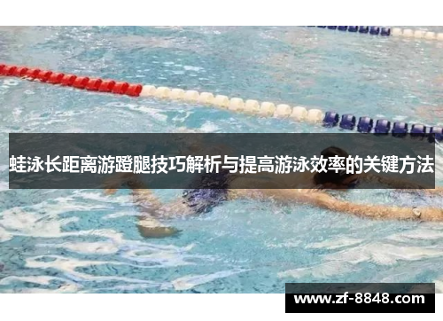 蛙泳长距离游蹬腿技巧解析与提高游泳效率的关键方法