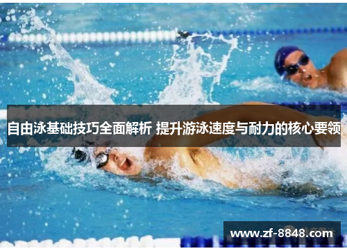自由泳基础技巧全面解析 提升游泳速度与耐力的核心要领